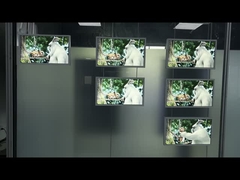 21.5 дюйма Односторонний висячий оконный дисплей 2000cd/M2 Яркость Full Hd Digital Signage Lcd